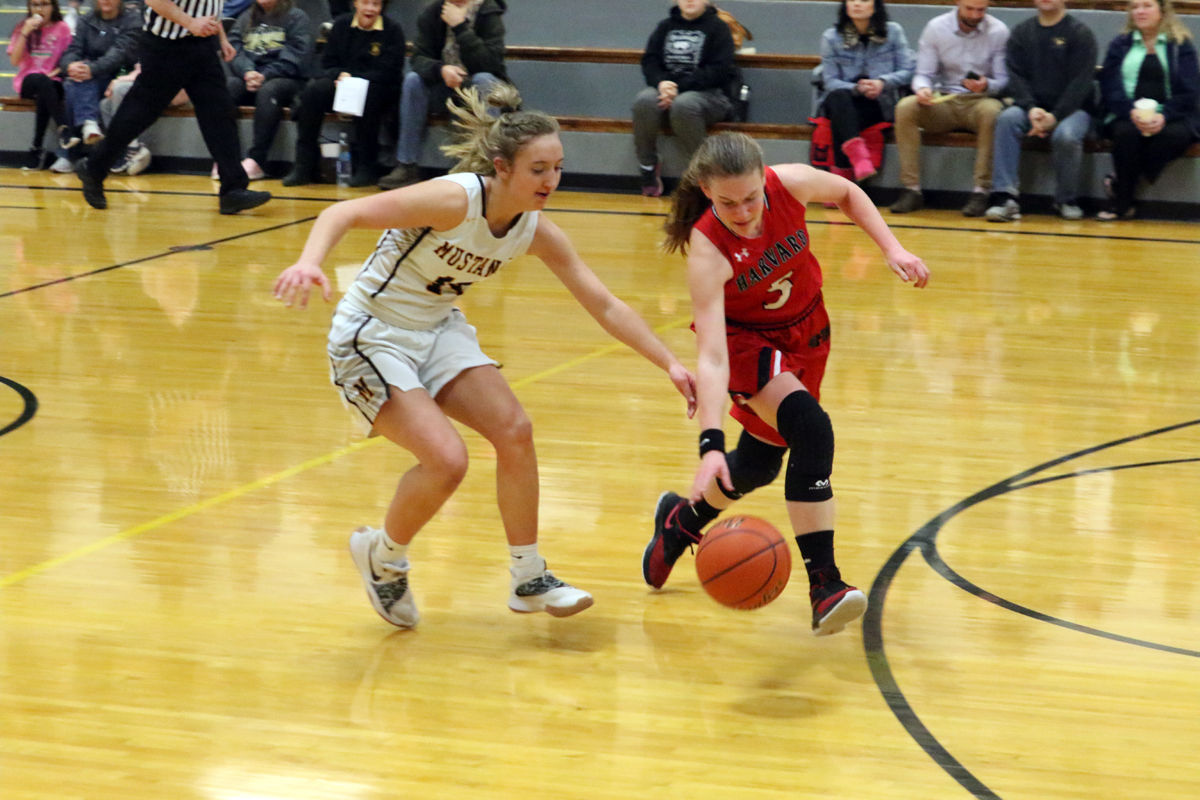 McCool BB vs Harvard (19).jpg